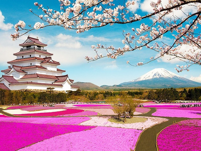 Đúc kết kinh nghiệm du lịch Nhật Bản giá rẻ cho hành trình khám phá ấn tượng