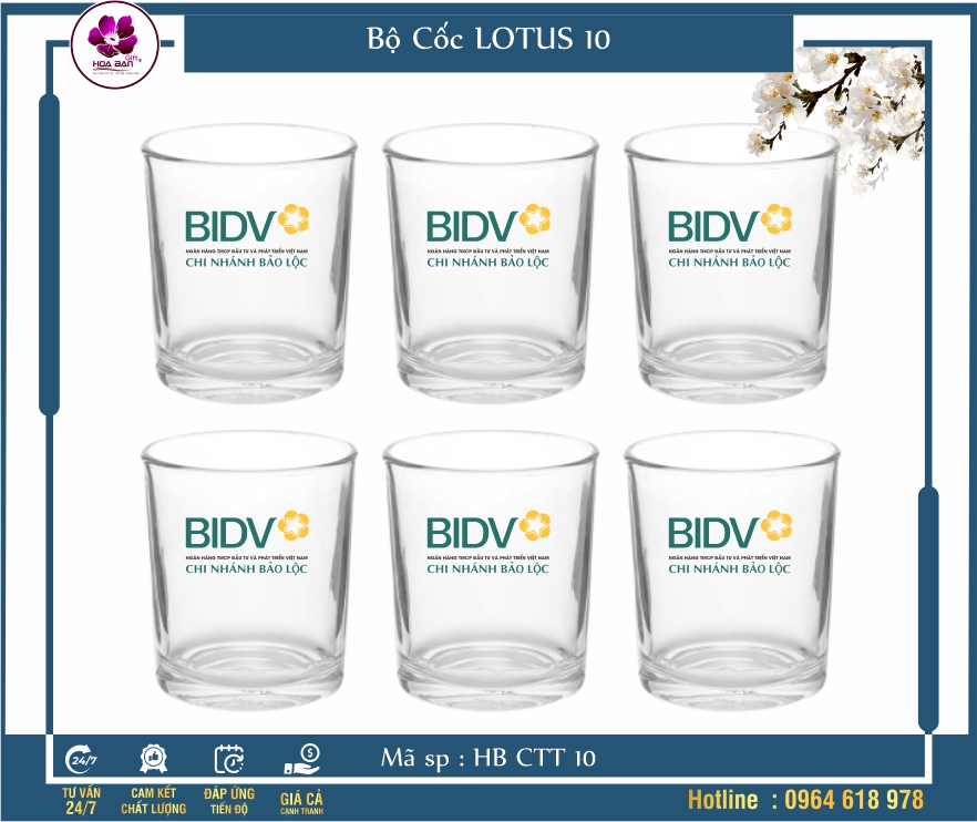 Bộ Cốc LOTUS 10 